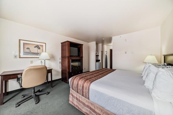 Standard Bedroom Single Queen Room